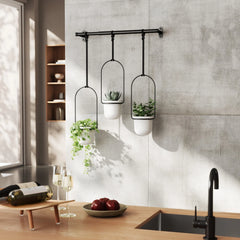 Triflora Hanging Planters, Set of 3