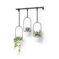 Triflora Hanging Planters, Set of 3